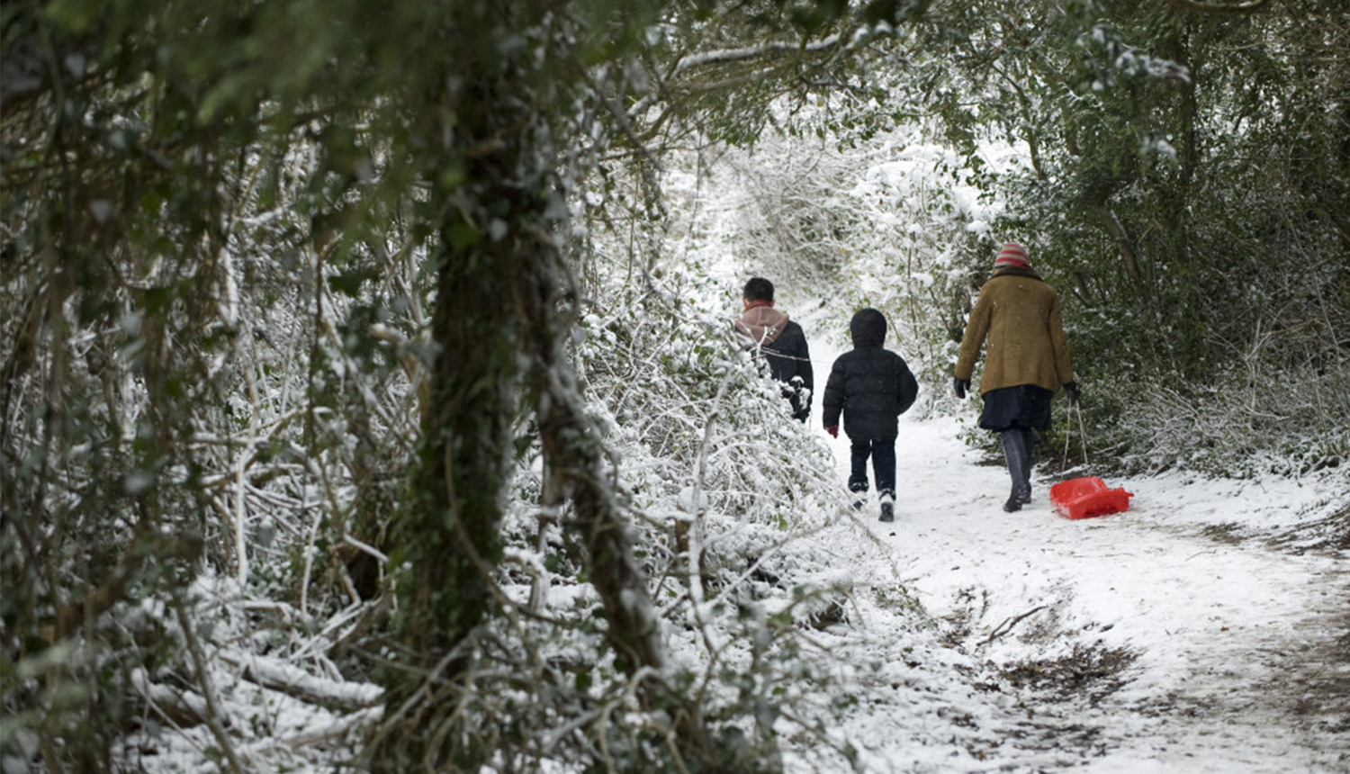 Festive Walks in Hampshire 2017